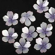 Бусина, акрил "Цветок сливы", цвет белый/лиловый, 28x28x8-10 мм