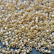 Бисер японский MIYUKI Delica 11/0 DB-1561 (уп 5 г)