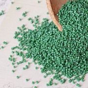 Бисер японский MIYUKI Delica 11/0 DB-656 (уп 5 г)